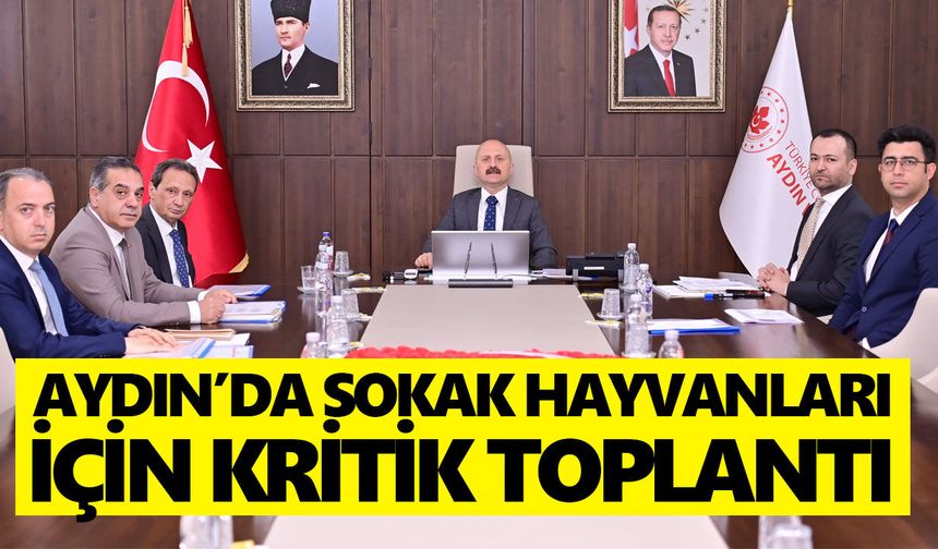 Aydın’da sokak hayvanları için kritik toplantı