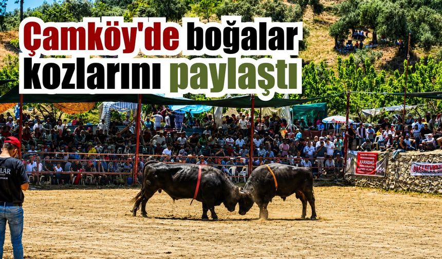 Binlerce güreşsever Çamköy’de buluştu