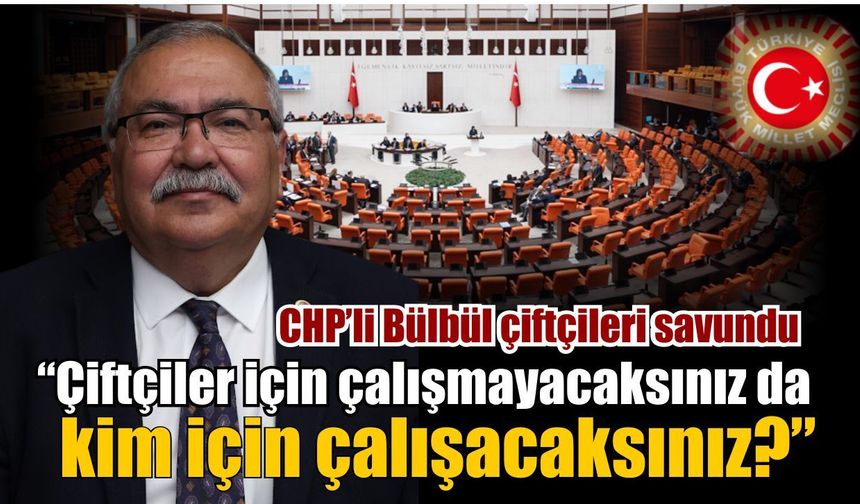CHP’li Bülbül’den DSİ ve TMO’ya eleştiri