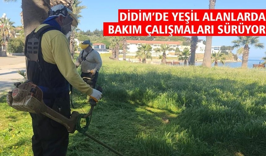 Didim’de yeşil alanlarda bakım çalışmaları sürüyor