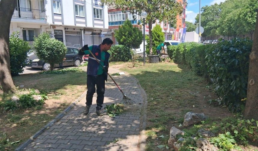 Efeler’de parklarda yaz mesaisi