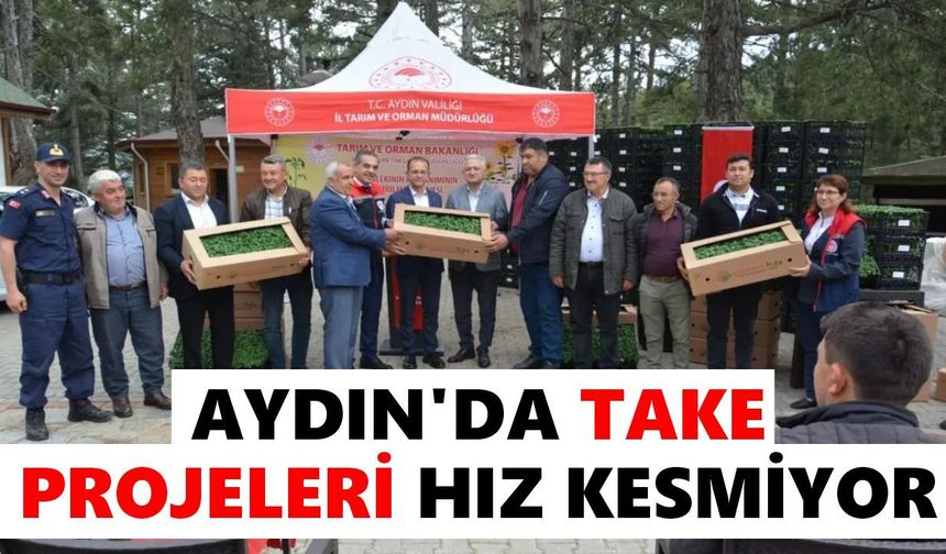 Kuyucak'ta üreticiye fide desteği
