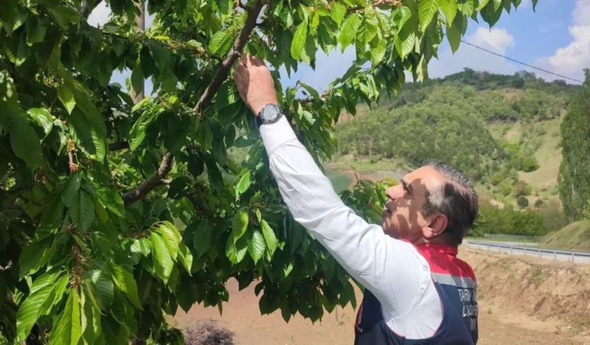 Müdür Temiz'den Kuyucak'a ziyaret