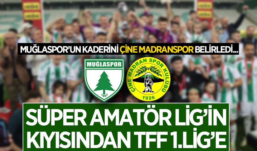 Çine Madranspor sahaya çıkmadı, Muğlaspor'un kaderi değişti