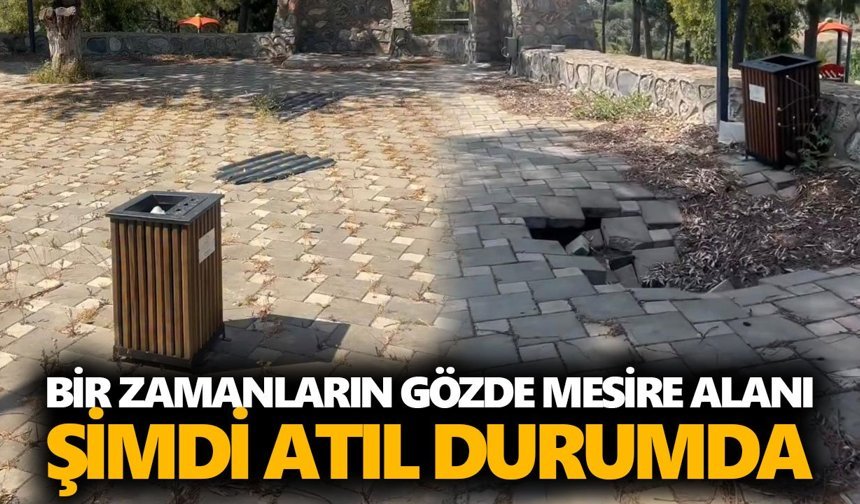 Mursallı’nın simgesi Şahin Tepesi kaderine terk edildi