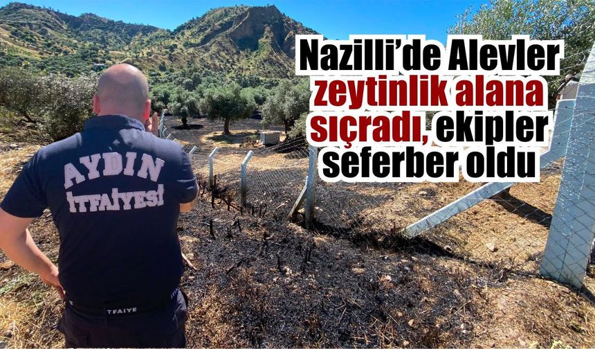 Nazilli’de zeytinlik arazide yangın