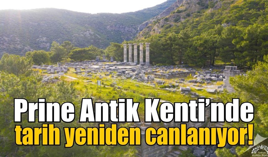 Söke meclisi Prine’de toplanıyor