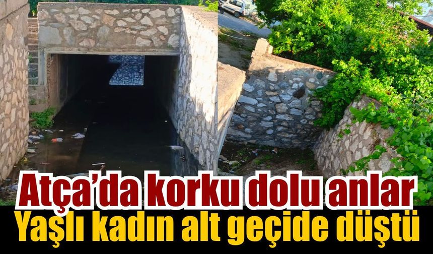 Sultanhisar’da talihsiz Olay: Yaşlı kadın ağır yaralandı