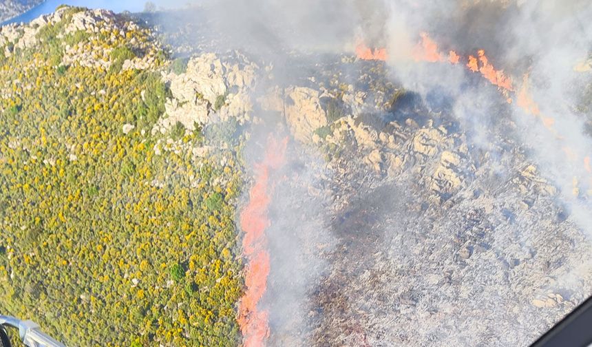 Ege’de yangın sezonu başladı! Alevlere havadan ve karadan müdahale