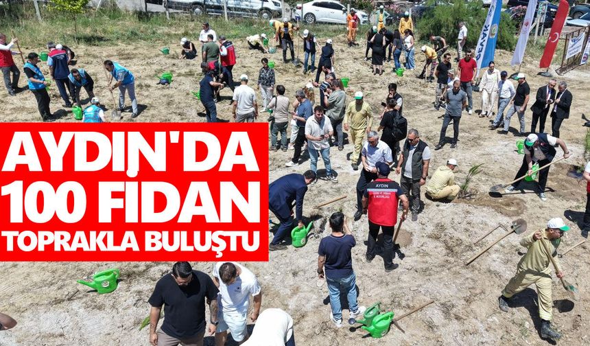 Aydın'da 100 fidan toprakla buluştu