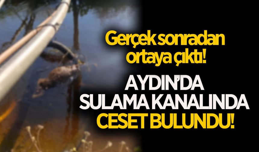 Aydın'da sulama kanalında ceset bulundu!