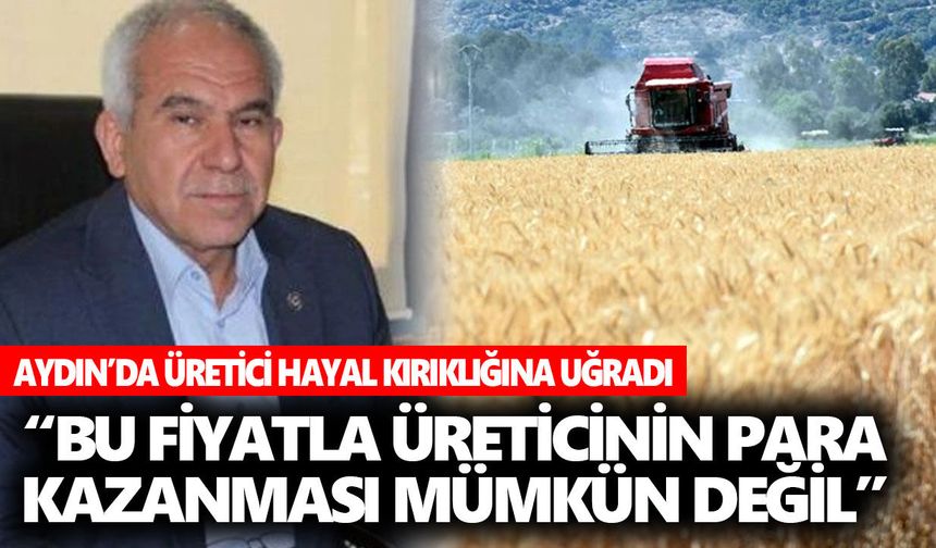 Buğday fiyatı açıklandı! Aydın’da üretici hayal kırıklığına uğradı