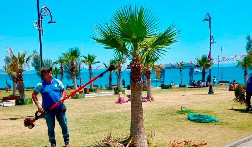 Didim’de yaşam alanları yenileniyor