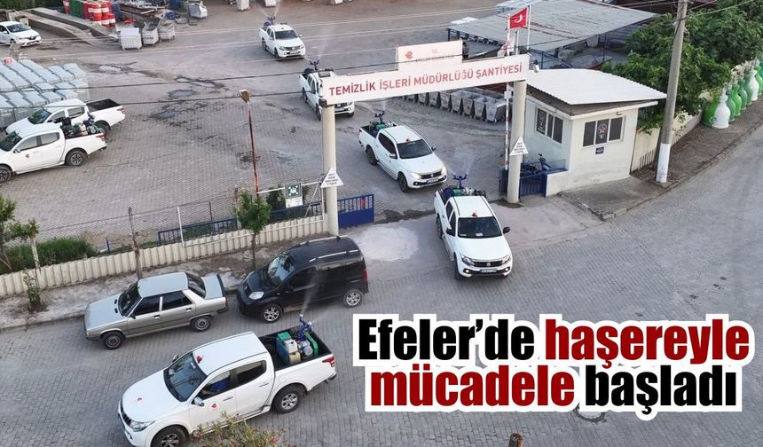 Efeler Belediyesi sivrisineğe karşı sahaya indi