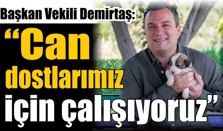 Kuşadası’nda can dostlara yakın ilgi