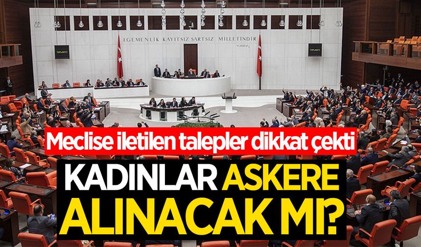 Meclis’e iletilen talepler dikkat çekti: Bedelli taksiti, Kadınlara askerlik, Heykel yasağı...