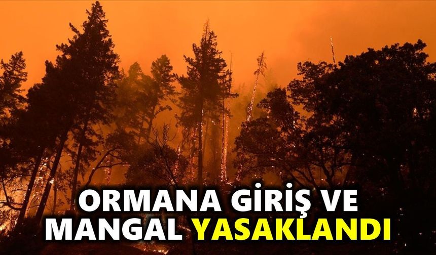 Nazilli Kaymakamlığı duyurdu