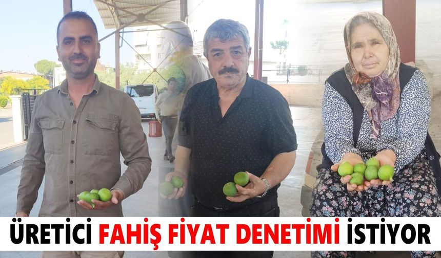 Nazilli'de ilek tezgâhları kuruldu