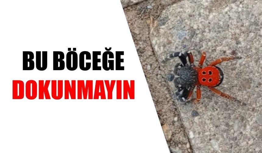 Nazilli'ye hayati uyarı
