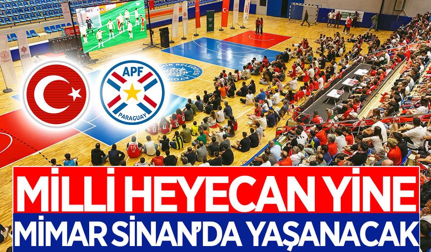 Aydın'da Milli heyecan yine Mimar Sinan'da yaşanacak