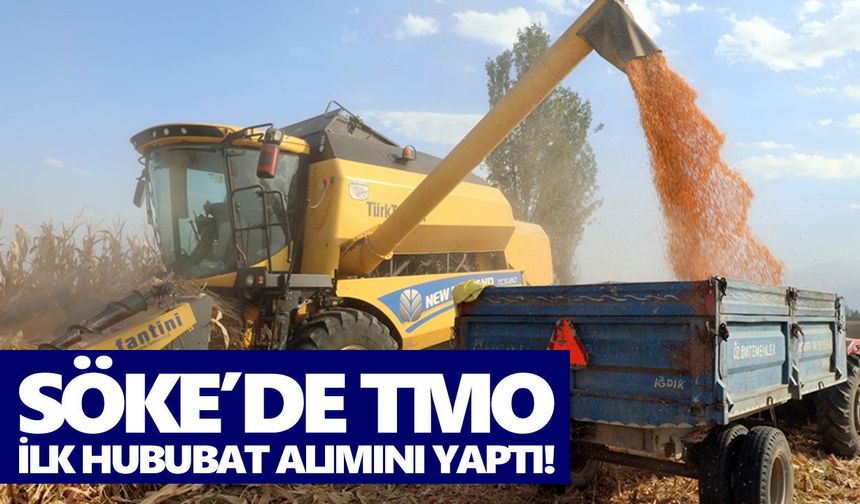 Söke’de TMO ilk hububat alımını yaptı!