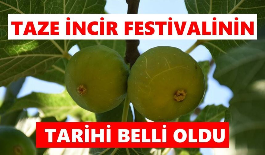 Türkiye'nin tek taze incir festivali için geri sayım başladı