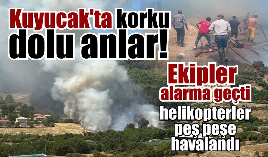 3 helikopter havalandı! Aydın'daki yangında acı bilanço