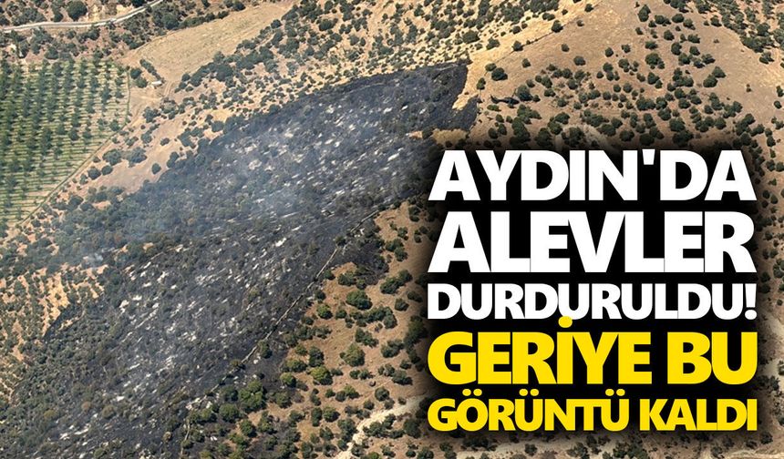 Aydın'da alevler durduruldu! Geriye bu görüntü kaldı