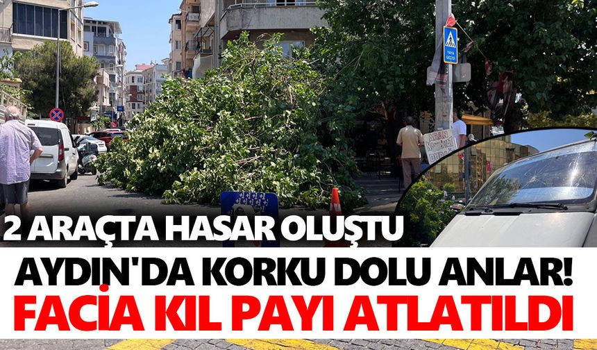 Aydın'da korku dolu anlar! Facia kıl payı atlatıldı