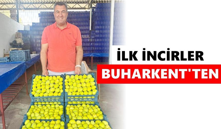 Aydın'da taze incir sezonu