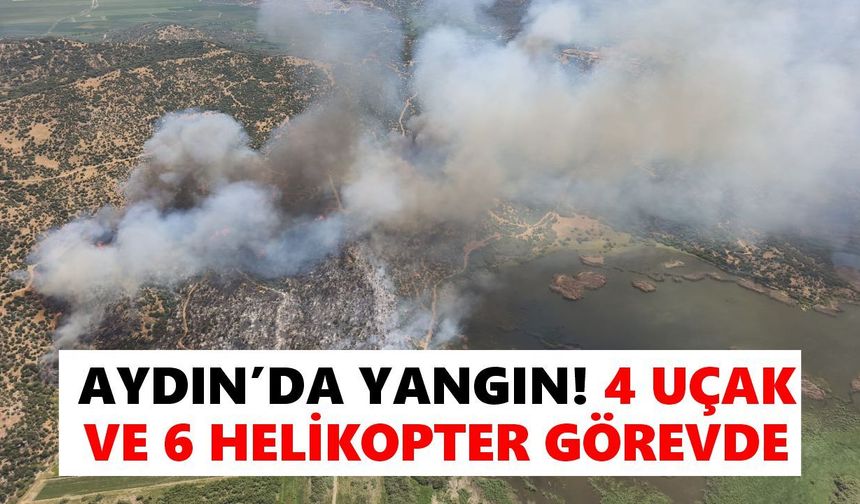 Aydın'da yangın! 4 uçak 6 helikopter görevde