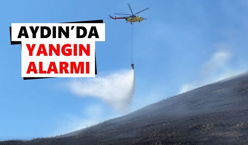 Aydın'da yangın alarmı
