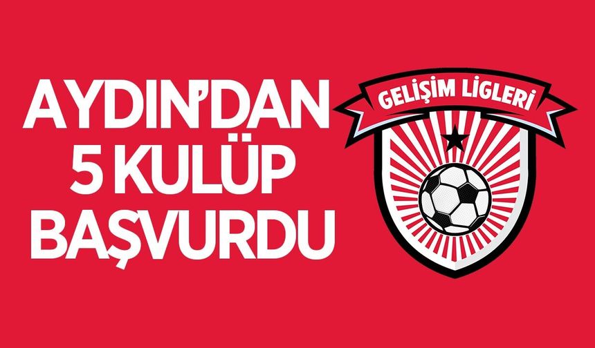 Aydın'dan 5 kulüp TFF Gelişim Ligi için başvuru yaptı