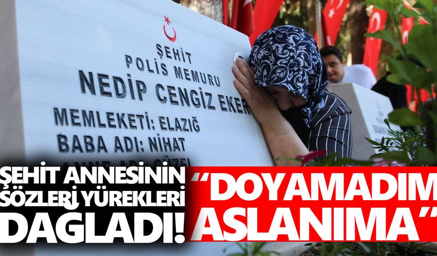Aydınlı 15 Temmuz şehidi Eker'in annesi yürekleri dağladı!