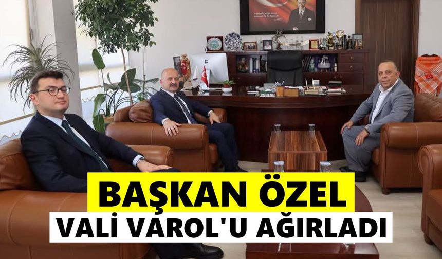 Bozdoğan'a ağır misafir
