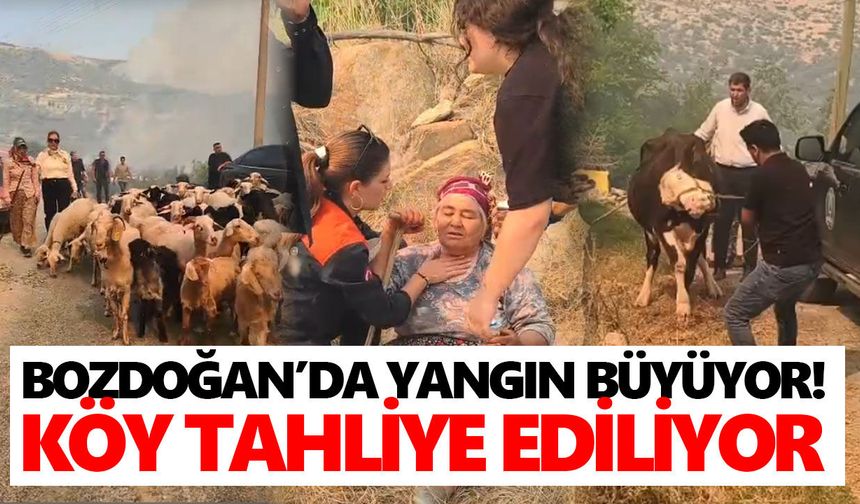Bozdoğan’da yangın büyüyor! Köy tahliye ediliyor