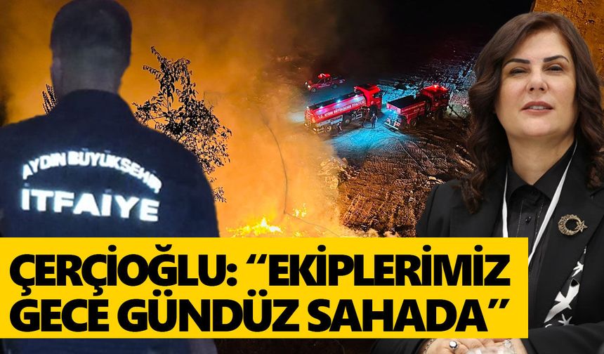 Büyükşehir İtfaiyesi 3 günde 176 yangına koştu!