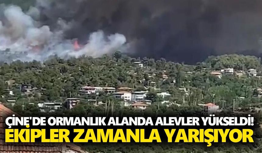 Çine'de ormanlık alanda alevler yükseldi! Ekipler zamanla yarışıyor