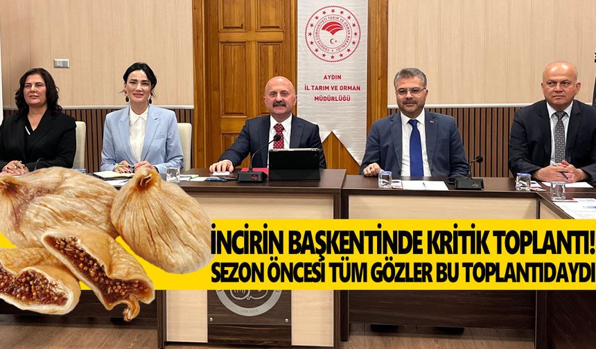 Aydın'dan dünyaya 42 bin ton! İncirde kritik sezon öncesi zirve