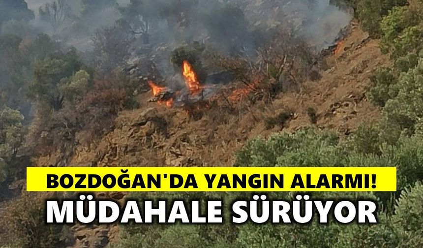 Bozdoğan'da alevler yükseldi