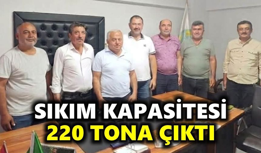 Karacasu'da zeytin üreticisine güçlü yatırım