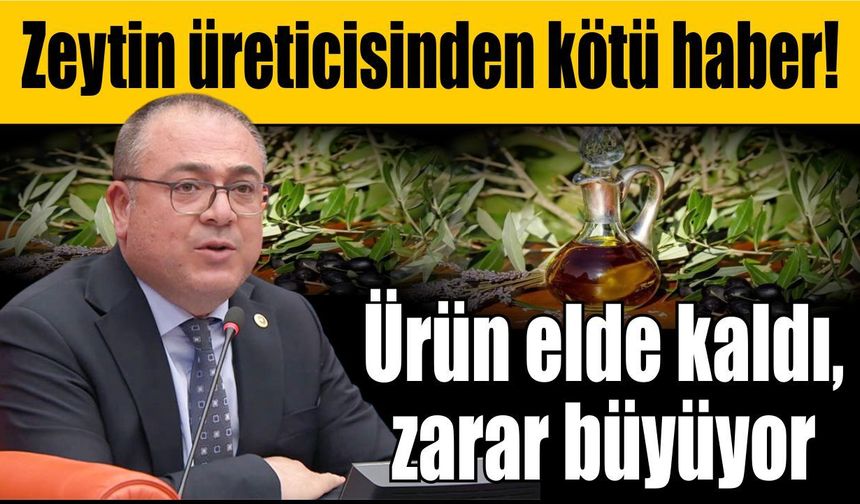 Karakoz’dan sert uyarı: “Zeytin ve zeytinyağı sektörü çöküşte”