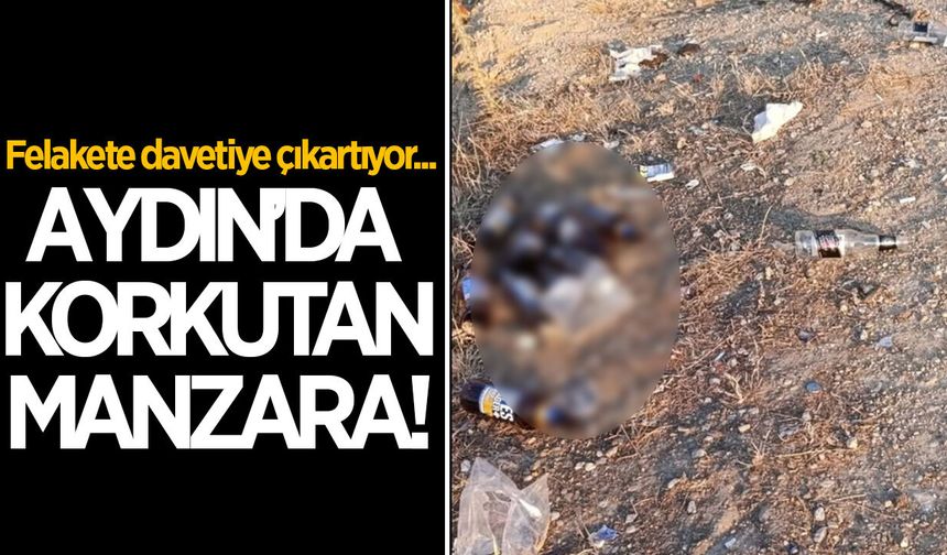 Aydın'da korkutan manzara! Felakete davetiye çıkarıyor