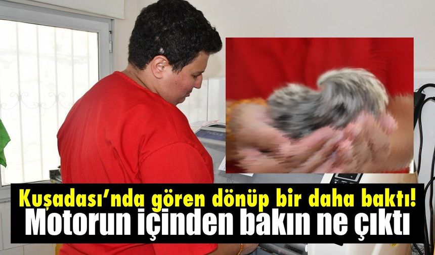 Kuşadası'nda gören dönüp bir daha baktı! Motorun içinden bakın ne çıktı