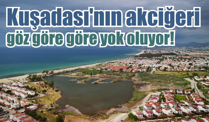 Kuşadası'nın son sulak alanı alarm veriyor!