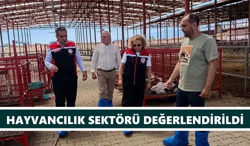 Müdür Temiz'den Ergüler'in işletmesine ziyaret