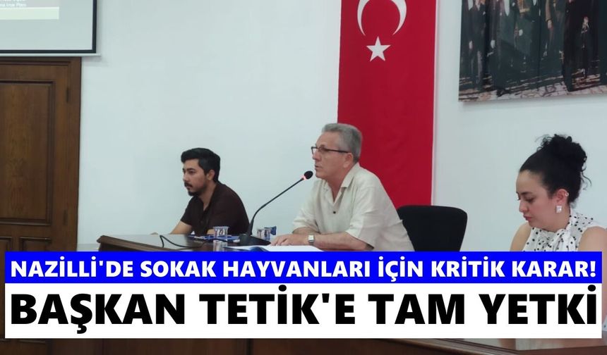 Nazilli'de sokak hayvanları sorunu çözülüyor