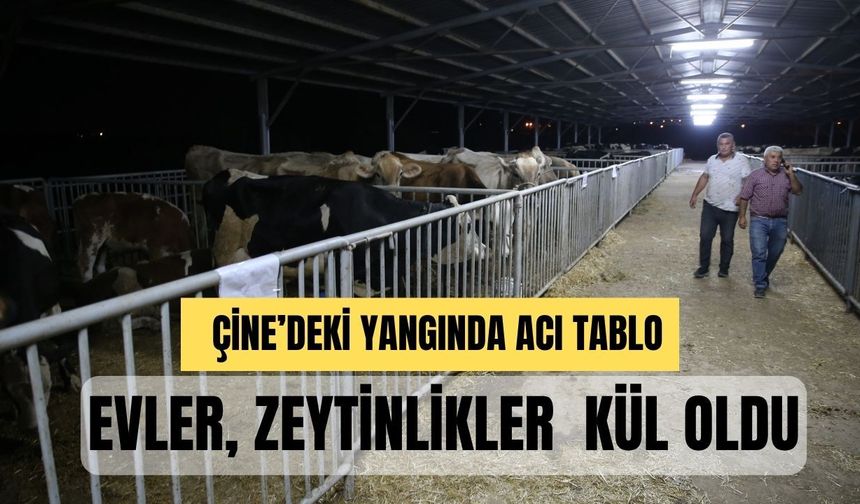Aydın Çine'de alevlerle savaş sürüyor