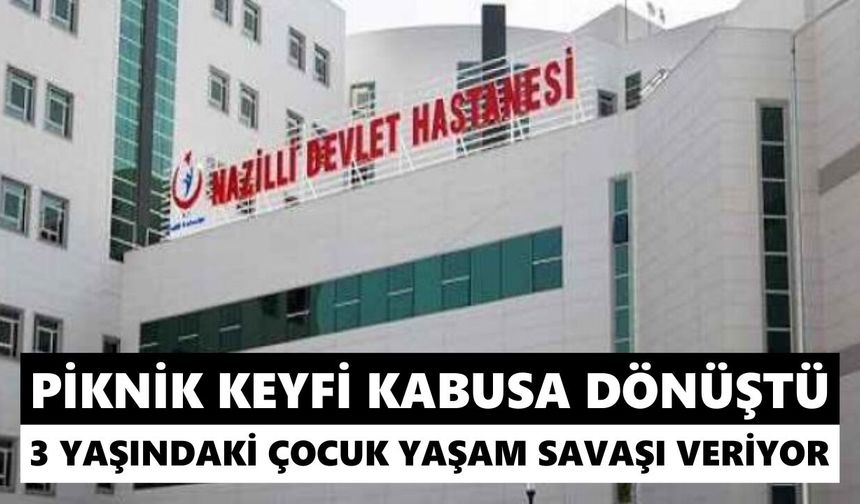 Piknik keyfi kabusa dönüştü: 3 yaşındaki çocuk yaşam savaşı veriyor