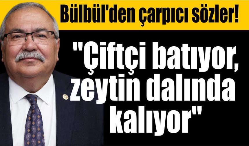 Zeytin ağaçta kaldı! Bülbül yaşanan krizi Meclis'e taşıdı